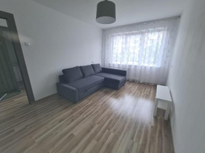 Modern Studio flat(dedicated)